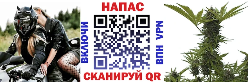Какие есть наркотики Мурино Кокаин АМФЕТАМИН APVP Канабис ГАШИШ
