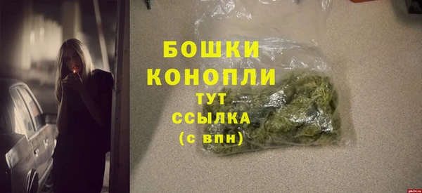 МДПВ Богородск