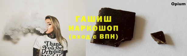 МДПВ Богородск