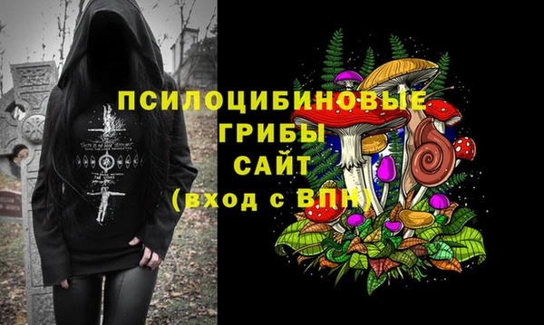 а пвп мука Богданович