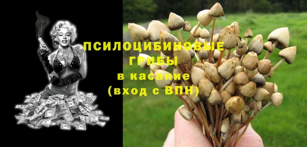 а пвп мука Богданович